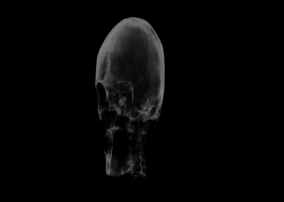 LightningChart WPF volume-rendering-skull-accumulation example